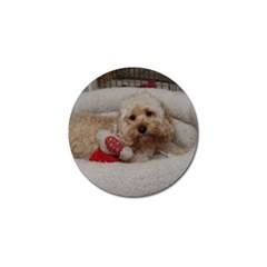 Cockapoo In Dog s Bed Golf Ball Marker by pauchesstore