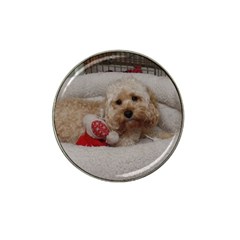 Cockapoo In Dog s Bed Hat Clip Ball Marker (4 Pack)