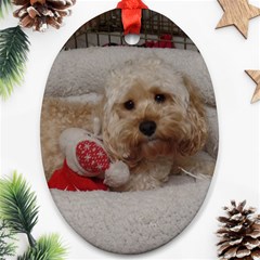 Cockapoo In Dog s Bed Oval Ornament (two Sides)