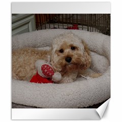 Cockapoo In Dog s Bed Canvas 8  X 10  by pauchesstore