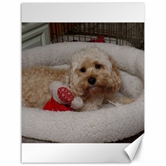 Cockapoo In Dog s Bed Canvas 12  X 16  by pauchesstore