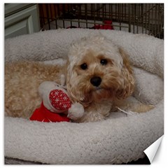 Cockapoo In Dog s Bed Canvas 16  X 16  by pauchesstore