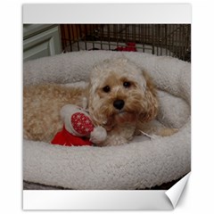 Cockapoo In Dog s Bed Canvas 16  X 20  by pauchesstore