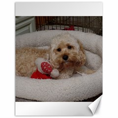 Cockapoo In Dog s Bed Canvas 18  X 24  by pauchesstore