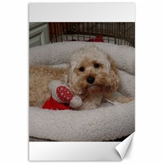 Cockapoo In Dog s Bed Canvas 24  X 36 