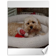 Cockapoo In Dog s Bed Canvas 36  X 48  by pauchesstore