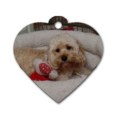 Cockapoo In Dog s Bed Dog Tag Heart (two Sides) by pauchesstore