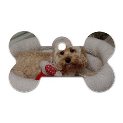 Cockapoo In Dog s Bed Dog Tag Bone (two Sides)