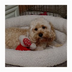 Cockapoo In Dog s Bed Medium Glasses Cloth by pauchesstore