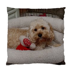 Cockapoo In Dog s Bed Standard Cushion Case (one Side)