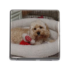 Cockapoo In Dog s Bed Memory Card Reader (square 5 Slot) by pauchesstore