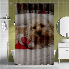 Cockapoo In Dog s Bed Shower Curtain 48  X 72  (small) 