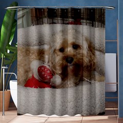 Cockapoo In Dog s Bed Shower Curtain 60  X 72  (medium) 