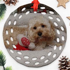 Cockapoo In Dog s Bed Round Filigree Ornament (two Sides)