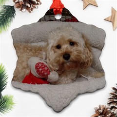 Cockapoo In Dog s Bed Snowflake Ornament (two Sides)