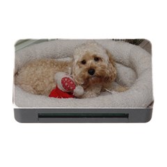 Cockapoo In Dog s Bed Memory Card Reader With Cf by pauchesstore