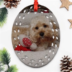 Cockapoo In Dog s Bed Oval Filigree Ornament (two Sides)