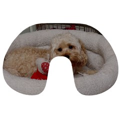 Cockapoo In Dog s Bed Travel Neck Pillows by pauchesstore