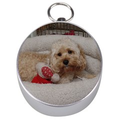 Cockapoo In Dog s Bed Silver Compasses