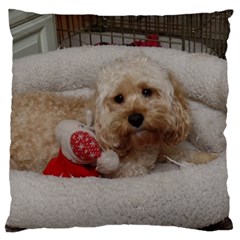 Cockapoo In Dog s Bed Standard Flano Cushion Case (one Side) by pauchesstore