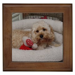 Cockapoo In Dog s Bed Framed Tiles