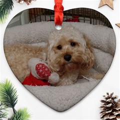 Cockapoo In Dog s Bed Ornament (heart)