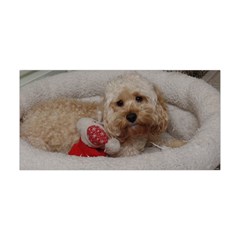 Cockapoo In Dog s Bed Yoga Headband by pauchesstore