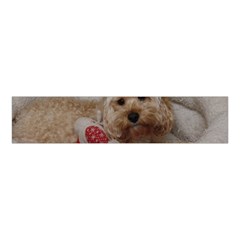 Cockapoo In Dog s Bed Velvet Scrunchie by pauchesstore