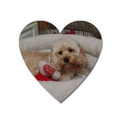 Cockapoo In Dog s Bed Heart Magnet