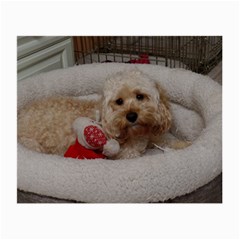 Cockapoo In Dog s Bed Small Glasses Cloth