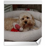 Cockapoo In Dog s Bed Canvas 20  x 24  19.57 x23.15  Canvas - 1