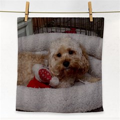 Cockapoo In Dog s Bed Face Towel