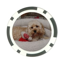 Cockapoo In Dog s Bed Poker Chip Card Guard (10 Pack) by pauchesstore