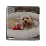 Cockapoo In Dog s Bed Memory Card Reader (Square 5 Slot) Front