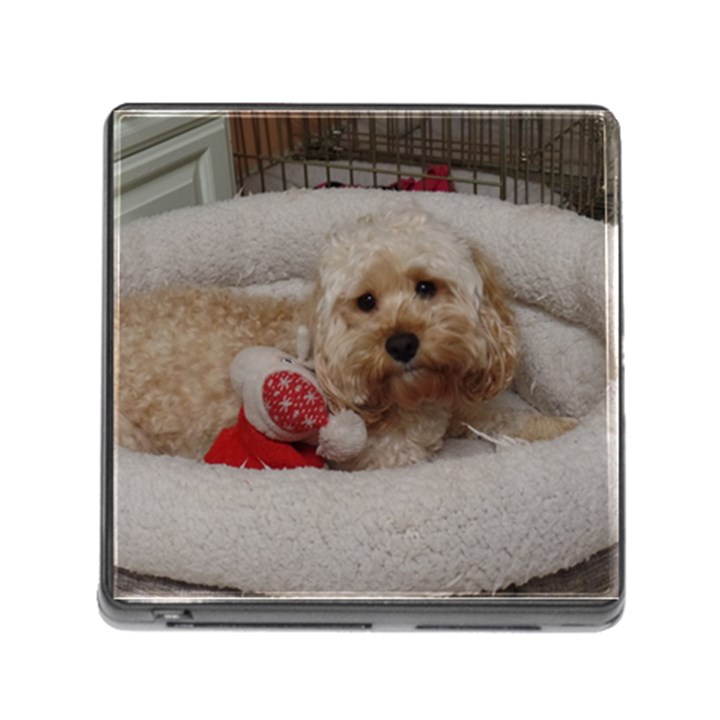 Cockapoo In Dog s Bed Memory Card Reader (Square 5 Slot)