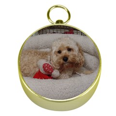 Cockapoo In Dog s Bed Gold Compasses by pauchesstore