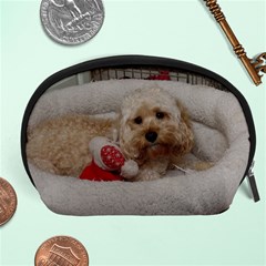 Cockapoo In Dog s Bed Accessory Pouch (large) by pauchesstore