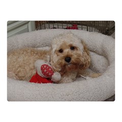 Cockapoo In Dog s Bed Double Sided Flano Blanket (mini)  by pauchesstore