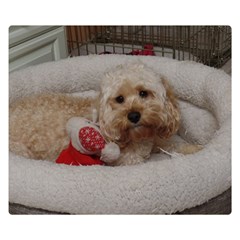 Cockapoo In Dog s Bed Double Sided Flano Blanket (small) 