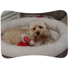 Cockapoo In Dog s Bed Velour Seat Head Rest Cushion by pauchesstore