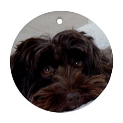 Laying In Dog Bed Ornament (round) by pauchesstore