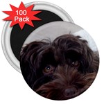 Laying In Dog Bed 3  Magnets (100 pack) Front