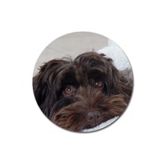 Laying In Dog Bed Magnet 3  (round) by pauchesstore