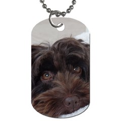 Laying In Dog Bed Dog Tag (one Side) by pauchesstore