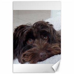 Laying In Dog Bed Canvas 24  X 36  by pauchesstore