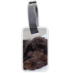 Laying In Dog Bed Luggage Tags (one Side)  by pauchesstore