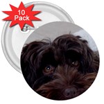 Laying In Dog Bed 3  Buttons (10 pack)  Front