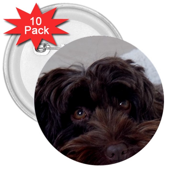 Laying In Dog Bed 3  Buttons (10 pack) 