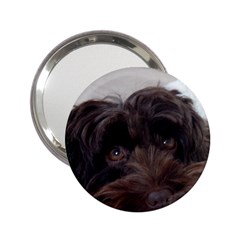 Laying In Dog Bed 2 25  Handbag Mirrors by pauchesstore