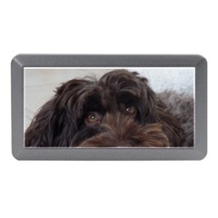 Laying In Dog Bed Memory Card Reader (mini) by pauchesstore